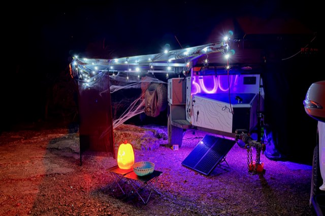 Canopy tent lined with purple string lights